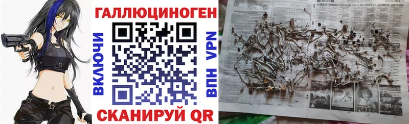 где можно купить наркотик  Оленегорск  мориарти формула  Галлюциногенные грибы мицелий 